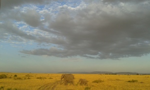 The beautiful Masai Mara